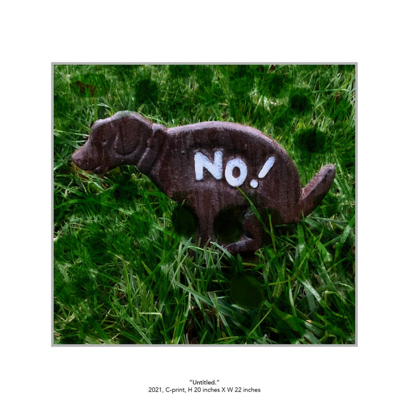 13 Works, February 2021