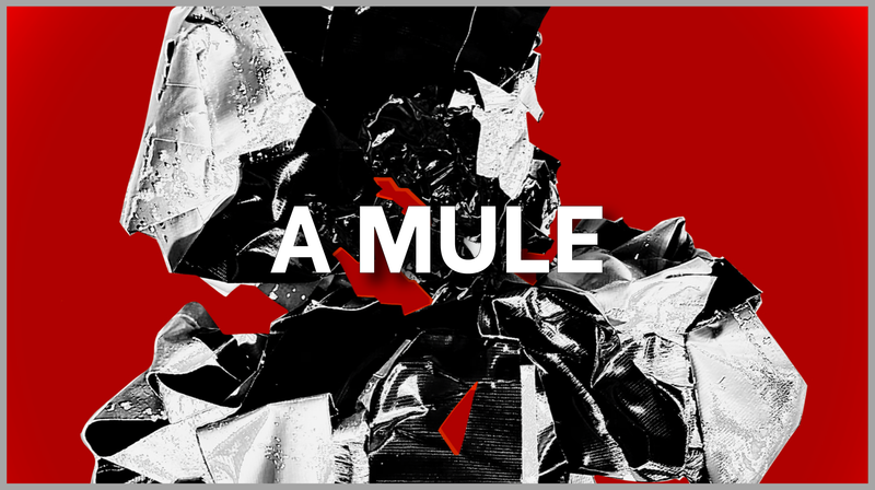 A MULE