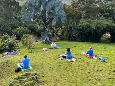 Finding Inner Peace and Healing at Feed Your Soul Retreats in St. Augustine, FL