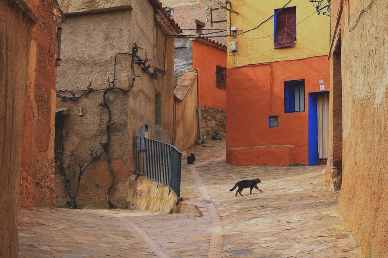 INDYWIDUALNE SESJE MINDFULNESS