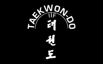 ETIMOLOGIA Y PRINCIPIOS DEL TAEKWON DO