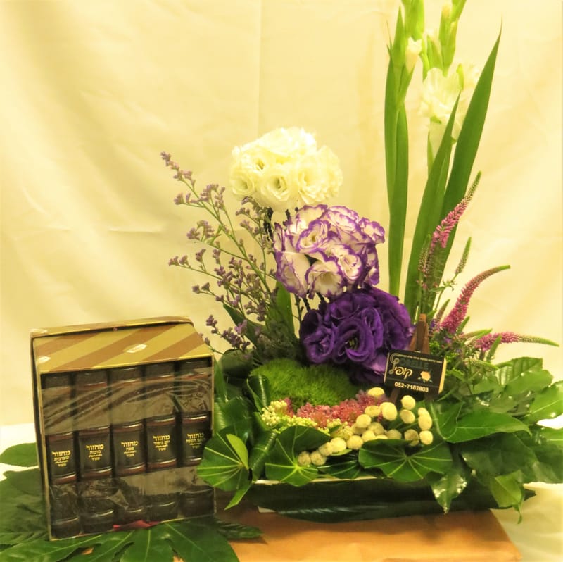 עיצובי מחזורים