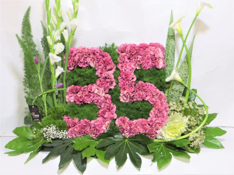 עיצובים מקוריים