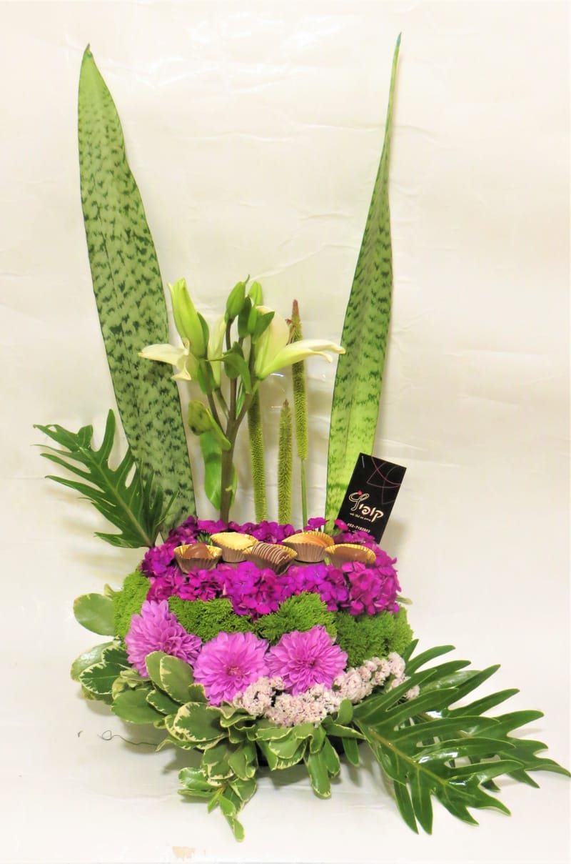 עיצובי פרלינים יוקרתיים