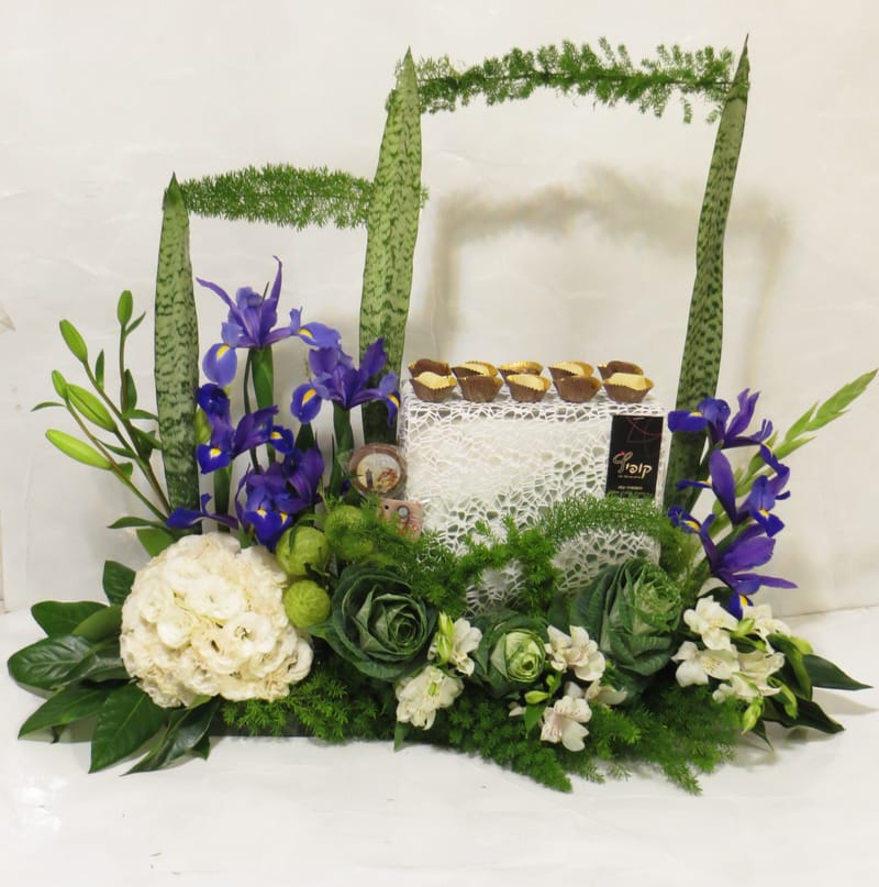 עיצובי פרלינים יוקרתיים