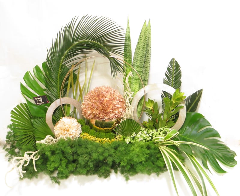 מיוחד לשמיטה