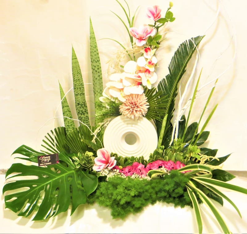 מיוחד לשמיטה