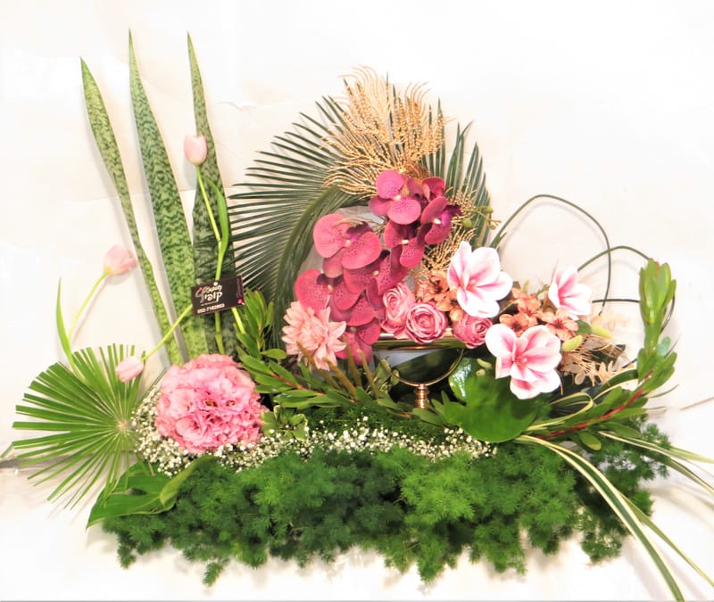 מיוחד לשמיטה