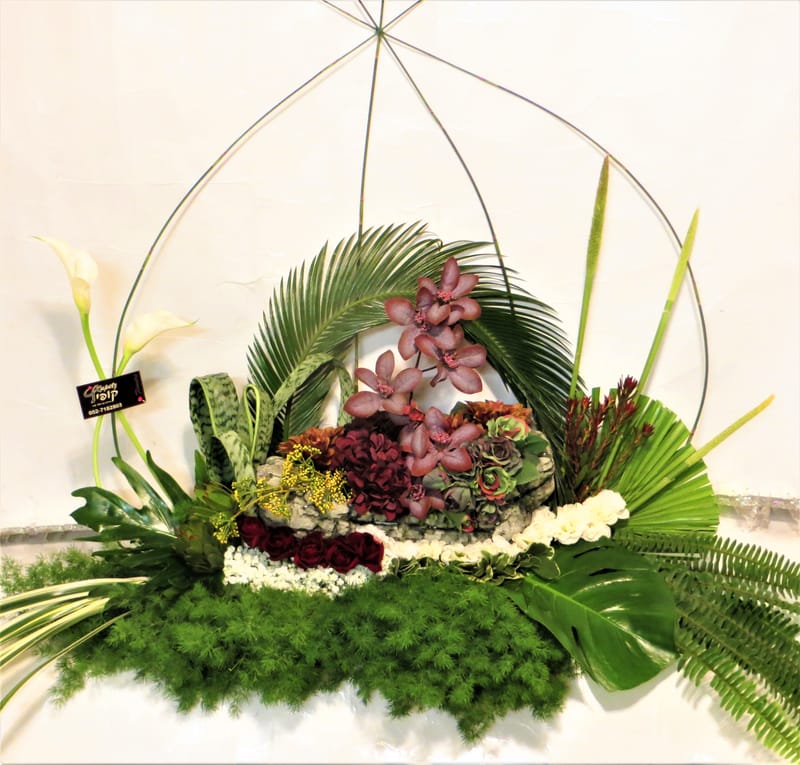 מיוחד לשמיטה