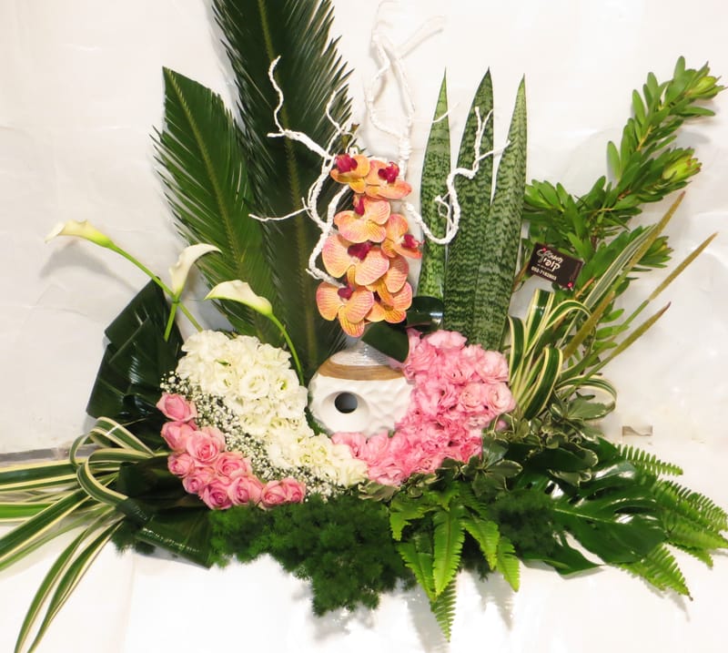 מיוחד לשמיטה