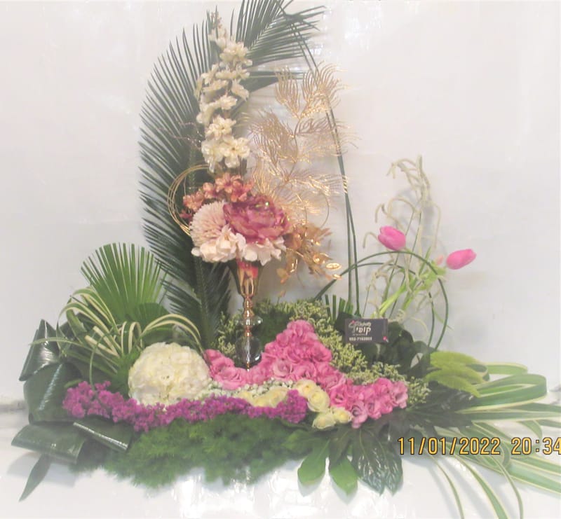 מיוחד לשמיטה