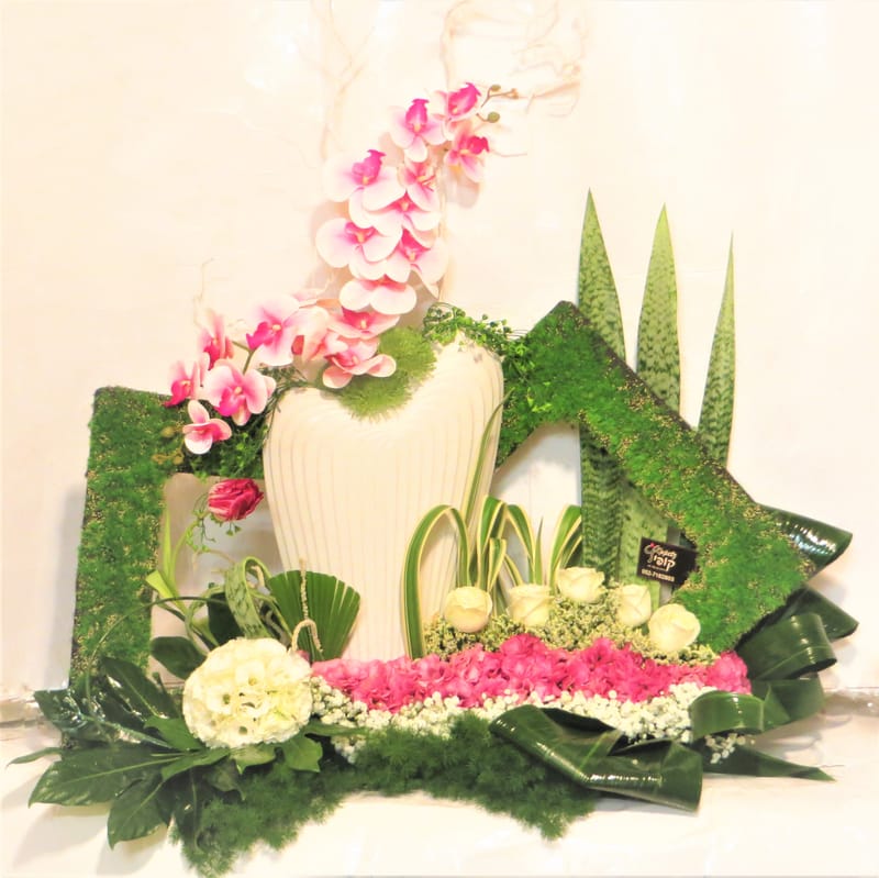 מיוחד לשמיטה