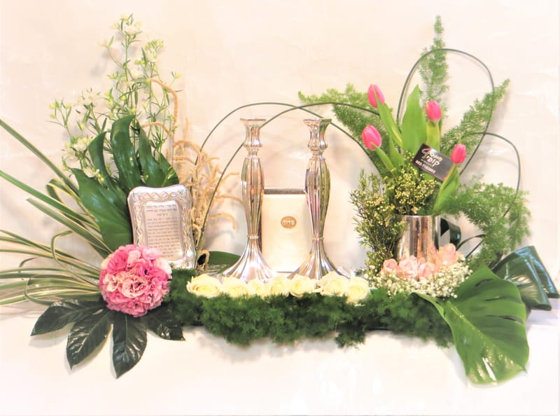 עיצובי פמוטים