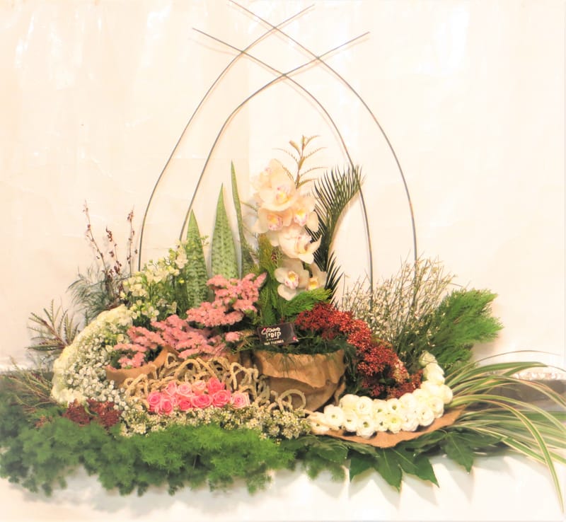 מיוחד לשמיטה