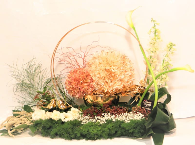 מיוחד לשמיטה