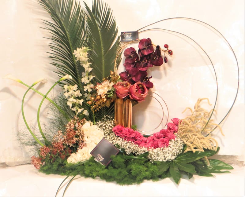 מיוחד לשמיטה