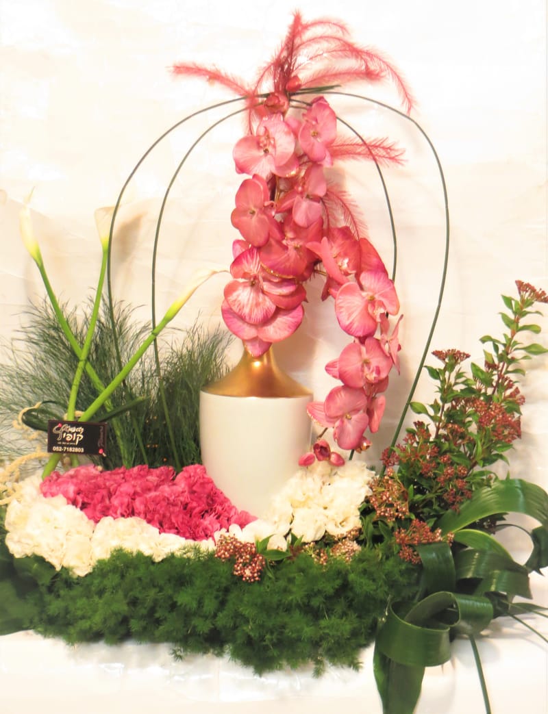 מיוחד לשמיטה