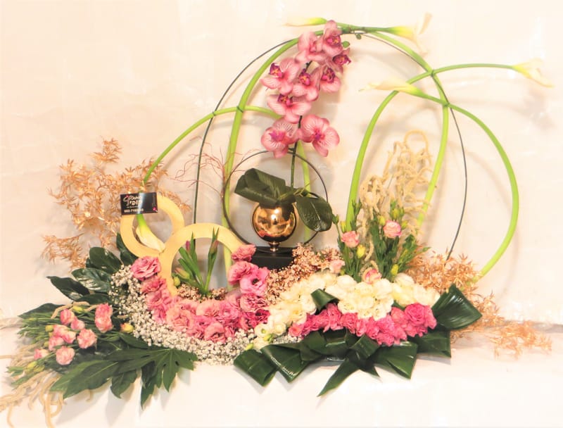 מיוחד לשמיטה