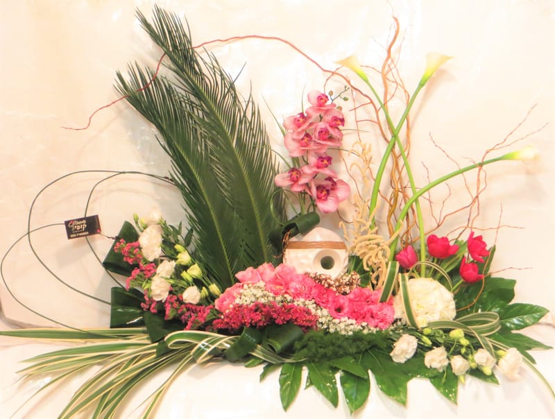 מיוחד לשמיטה