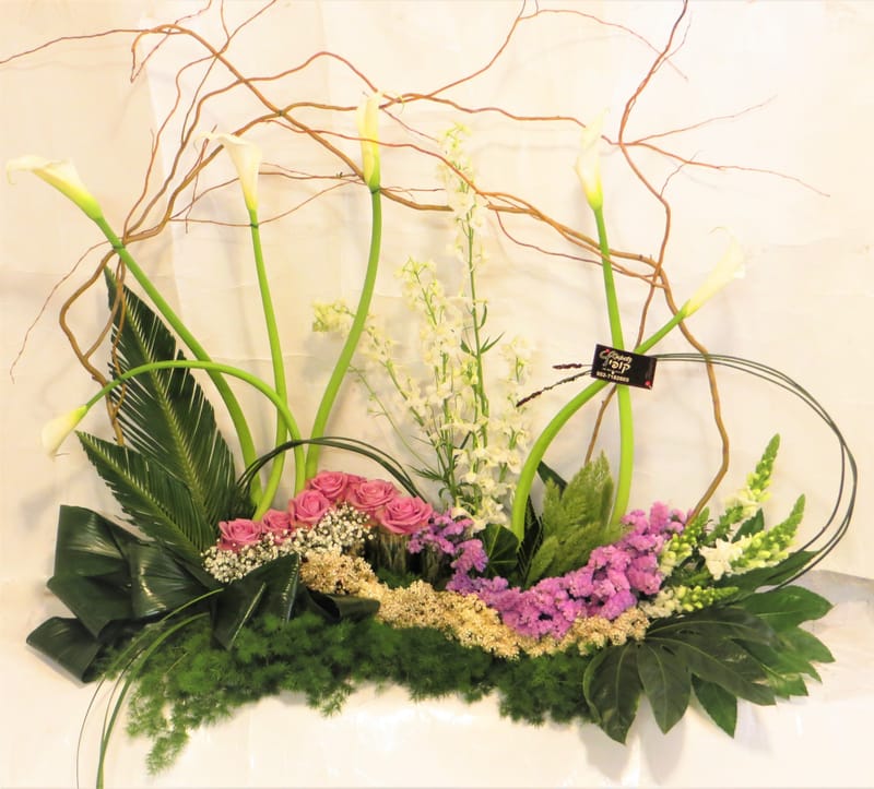 מיוחד לשמיטה