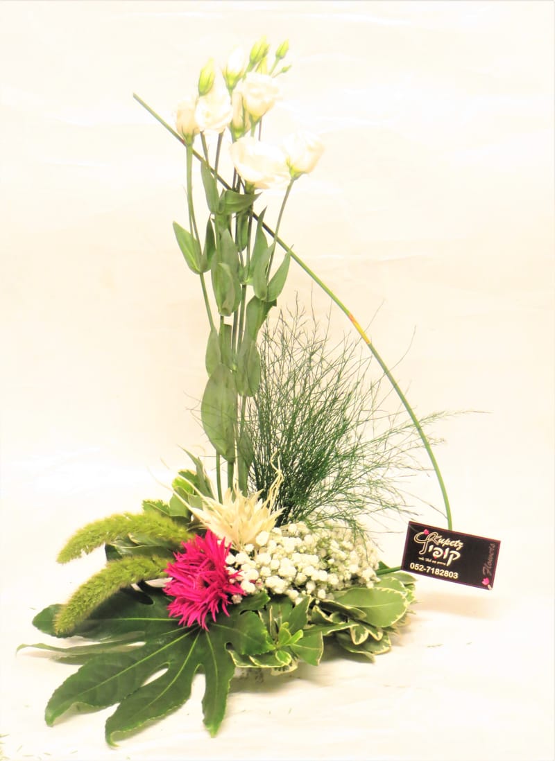 סידורי פרחים לכל מטרה