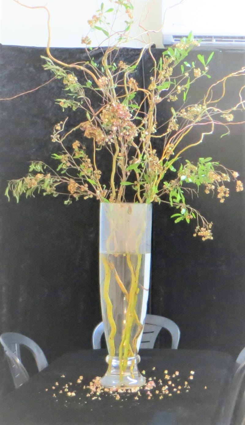 אגרטלים עם פרחים חיים