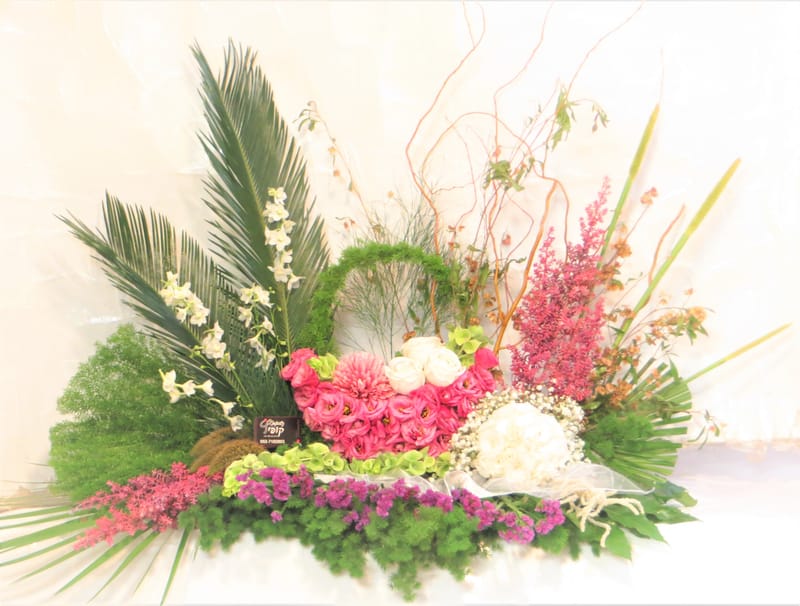 מיוחד לשמיטה