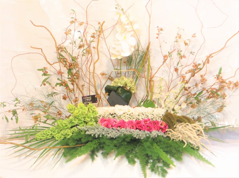 מיוחד לשמיטה