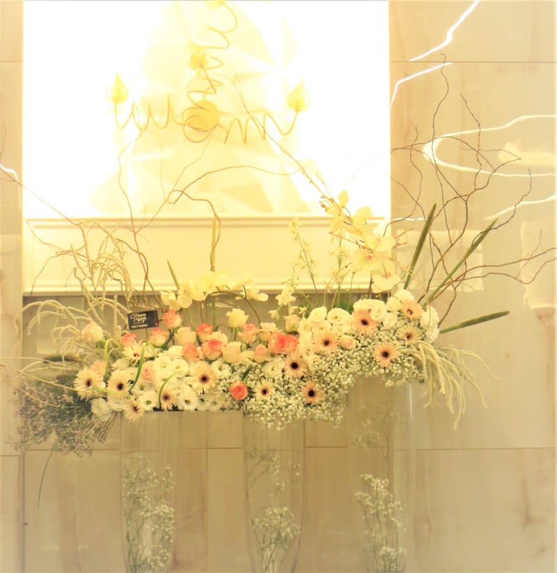 מיוחד לשמיטה