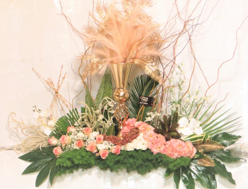 מיוחד לשמיטה