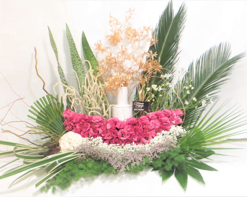 מיוחד לשמיטה