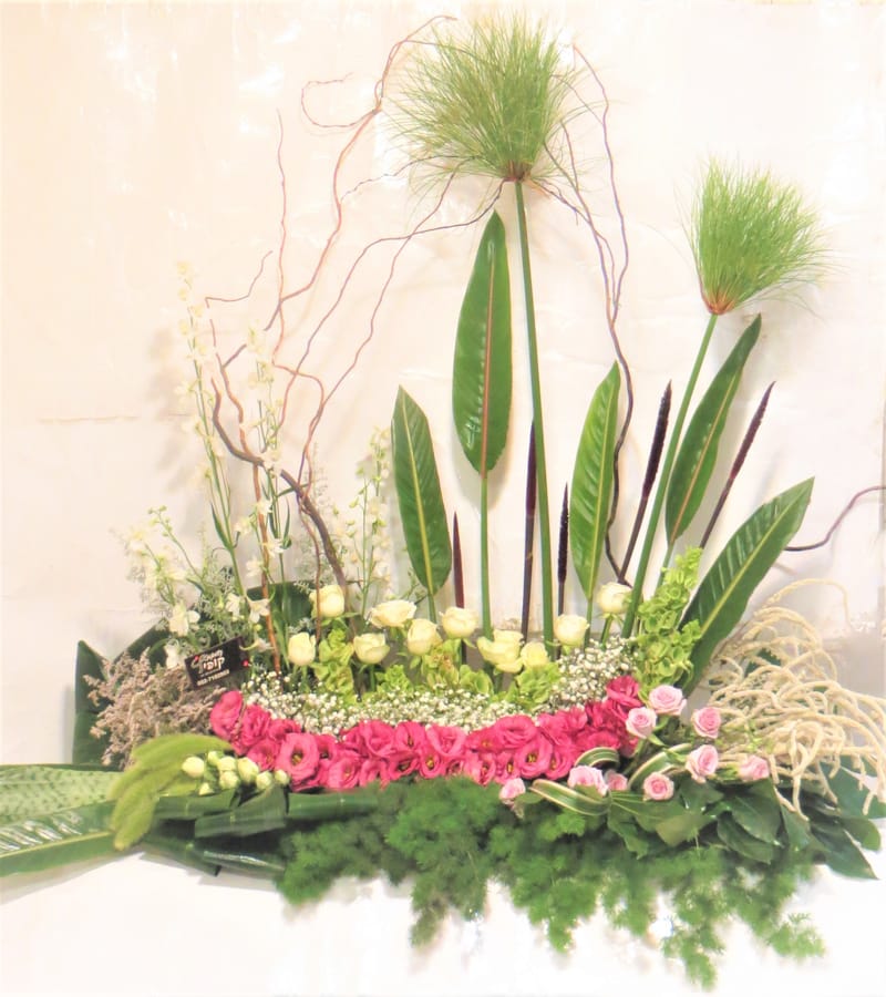 מיוחד לשמיטה