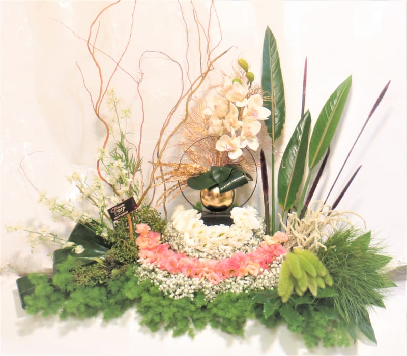 מיוחד לשמיטה