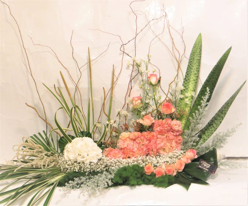 מיוחד לשמיטה