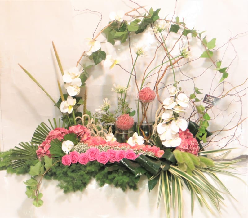 מיוחד לשמיטה