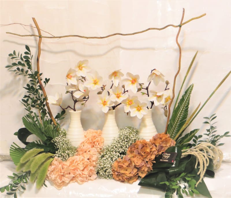 מיוחד לשמיטה