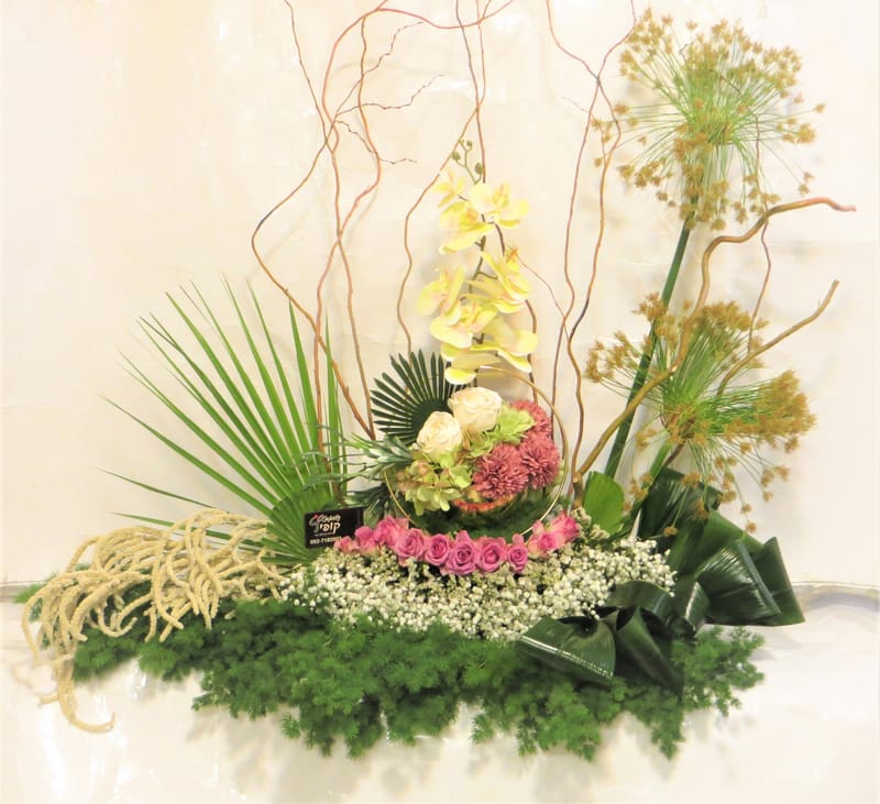 מיוחד לשמיטה