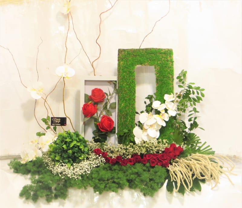 מיוחד לשמיטה