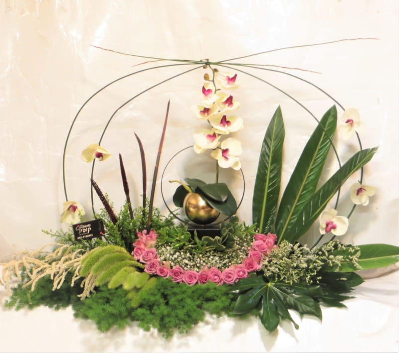 מיוחד לשמיטה