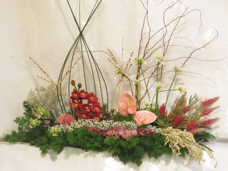 מיוחד לשמיטה