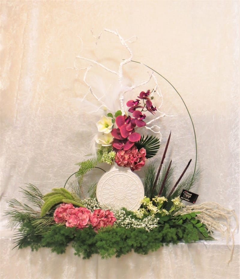 מיוחד לשמיטה