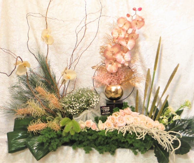 מיוחד לשמיטה