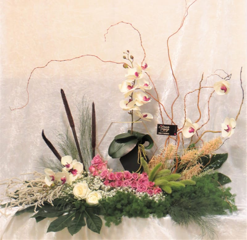 מיוחד לשמיטה