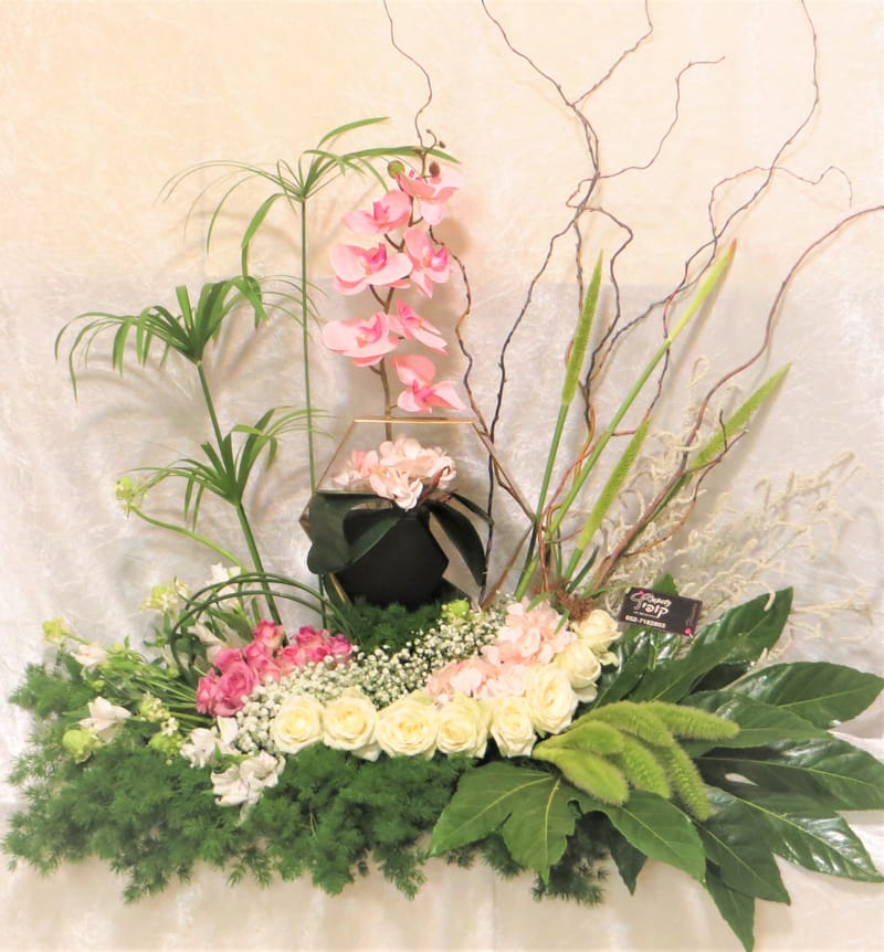 מיוחד לשמיטה