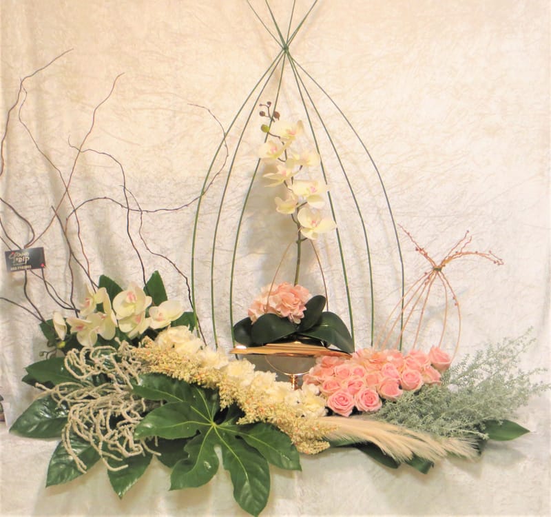 מיוחד לשמיטה