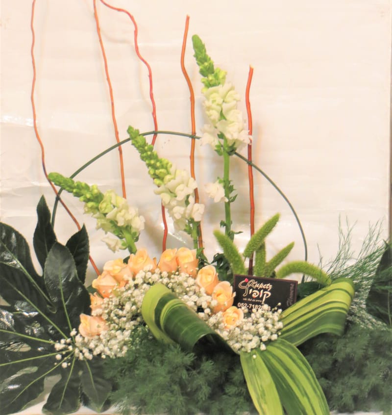 סידורי פרחים לכל מטרה