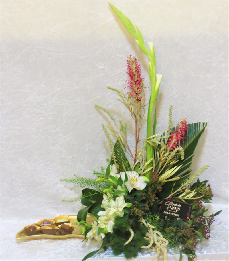 עיצובי פרלינים יוקרתיים