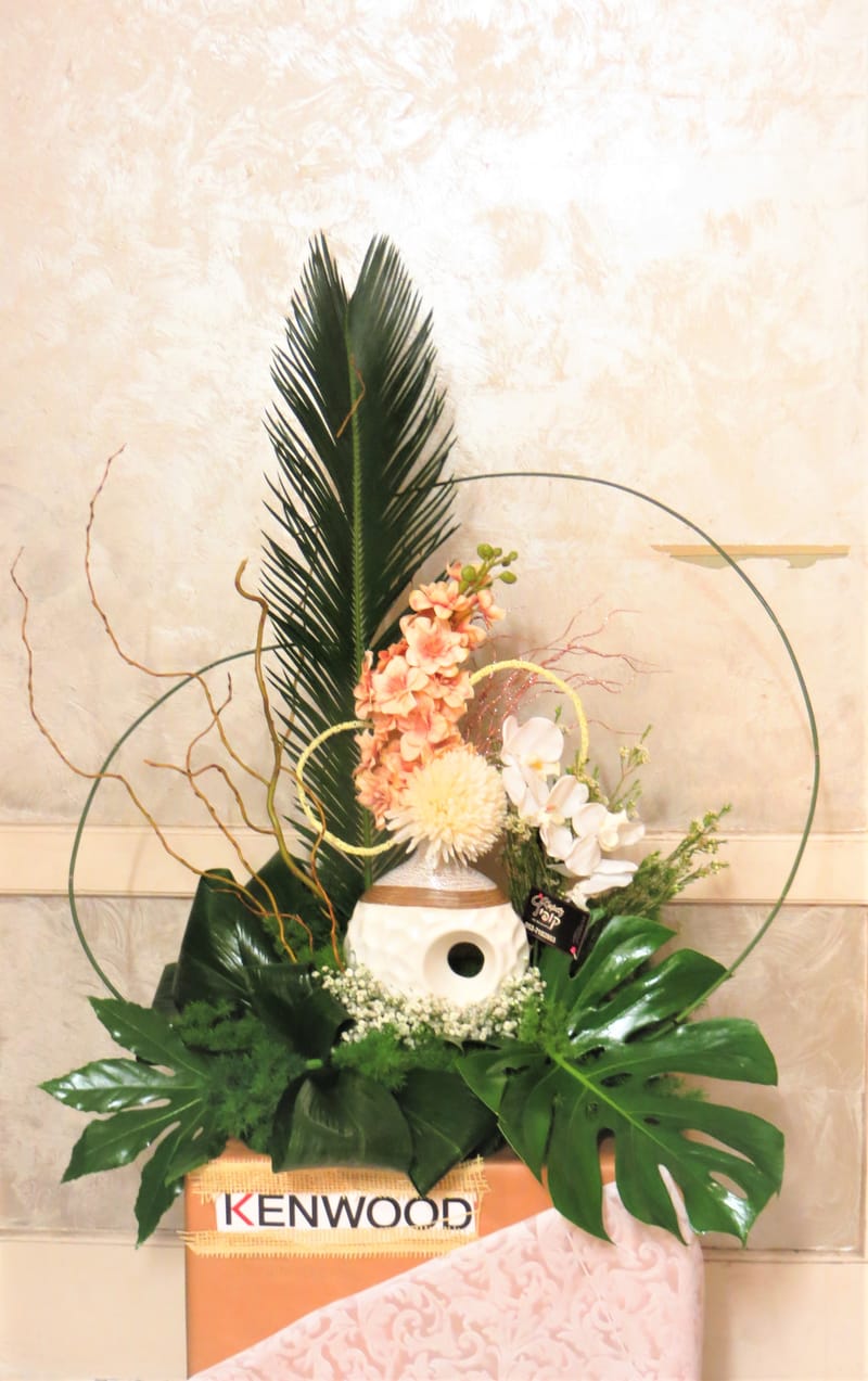 עיצובים מעל הקופסא