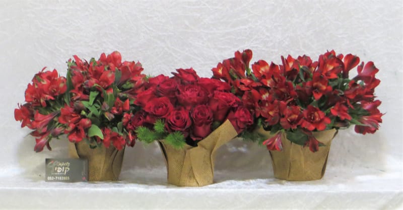 סידורי פרחים לכל מטרה