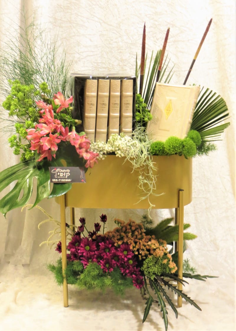 עיצובי מחזורים